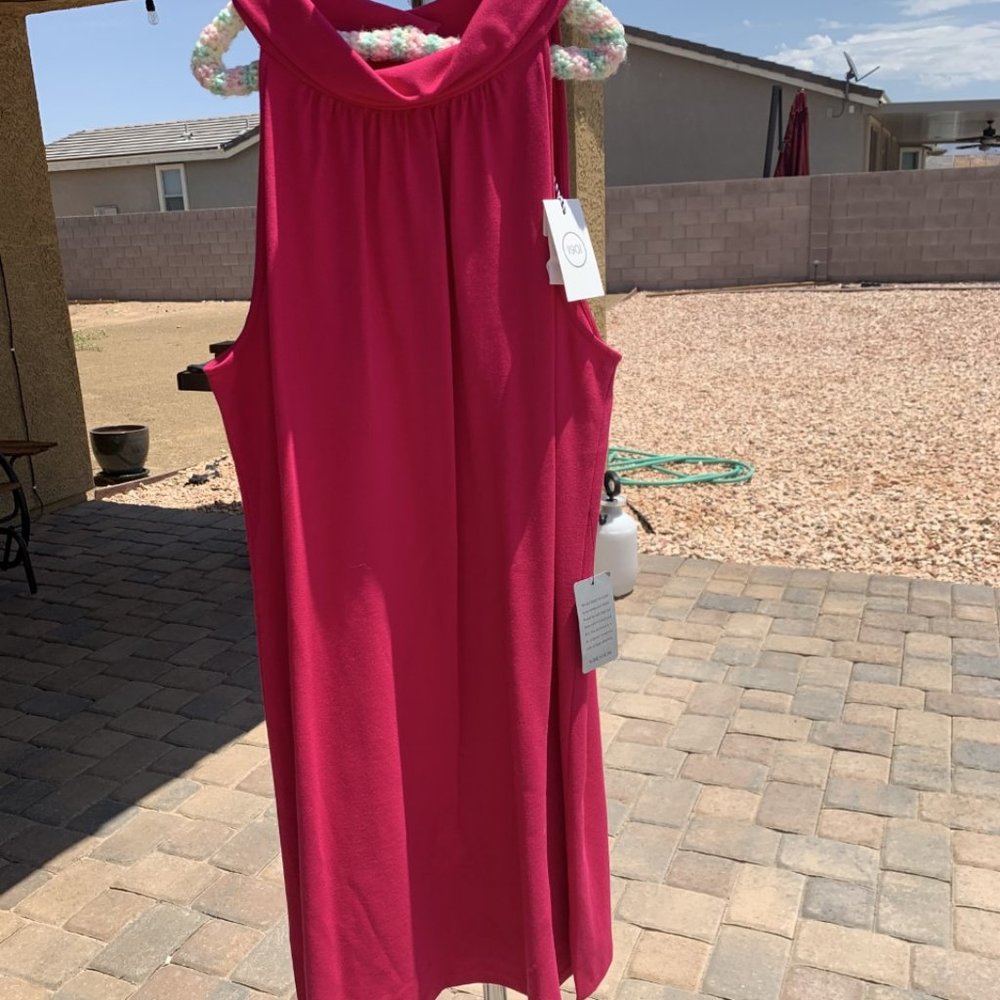 1901 Dress Sleeveless